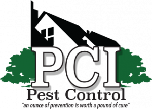 Pest Control Colchester