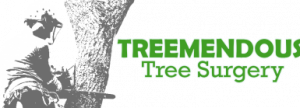 https://www.benchmarklandscapeltd.co.uk/tree-surgeon-essex/