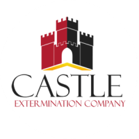 pest control chelmsford